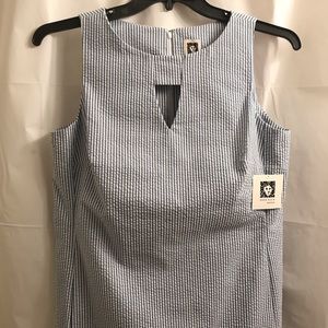 Anne Klein Seersucker Shift Dress Blue White 8